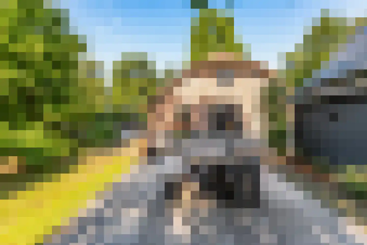 Zwolseweg 278 Apeldoorn thumbnail 19