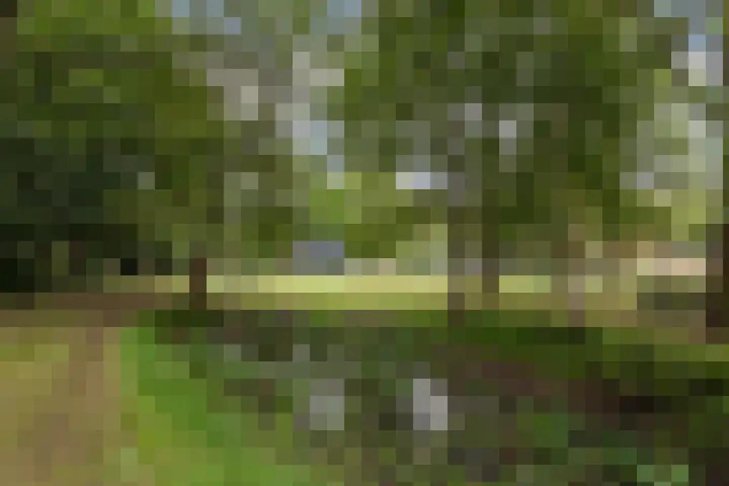 Zwolseweg 278 Apeldoorn thumbnail 23