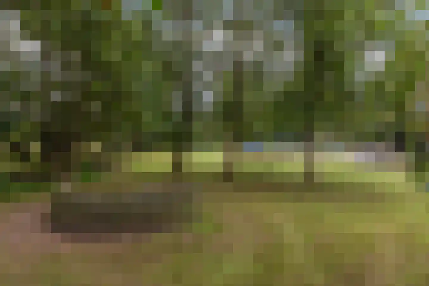 Zwolseweg 278 Apeldoorn thumbnail 24