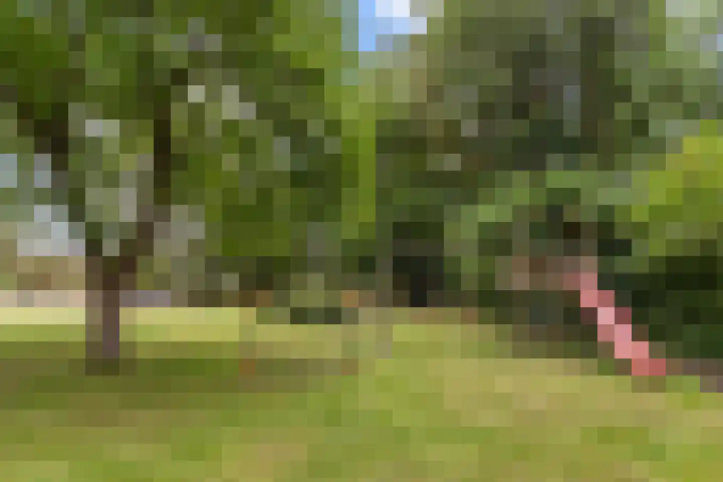 Zwolseweg 278 Apeldoorn thumbnail 25