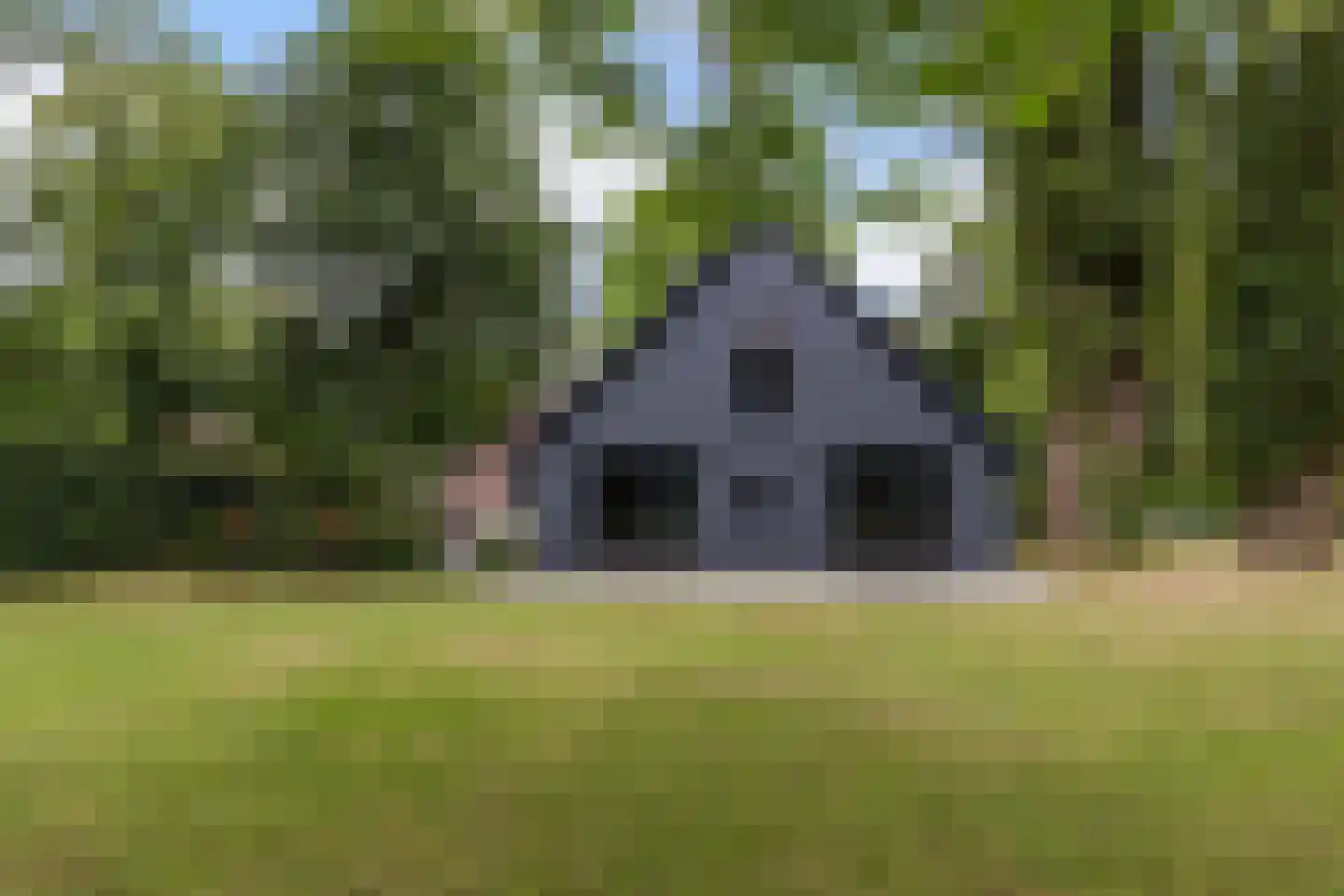 Zwolseweg 278 Apeldoorn thumbnail 26
