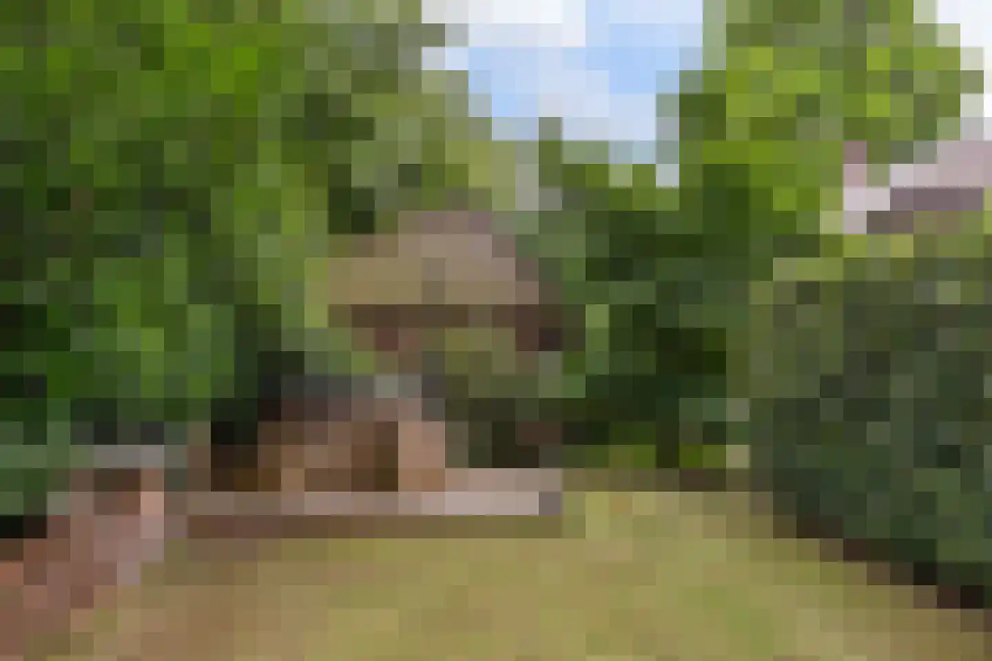 Zwolseweg 278 Apeldoorn thumbnail 27