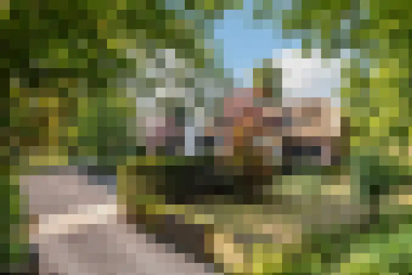 Zwolseweg 278 Apeldoorn thumbnail 4