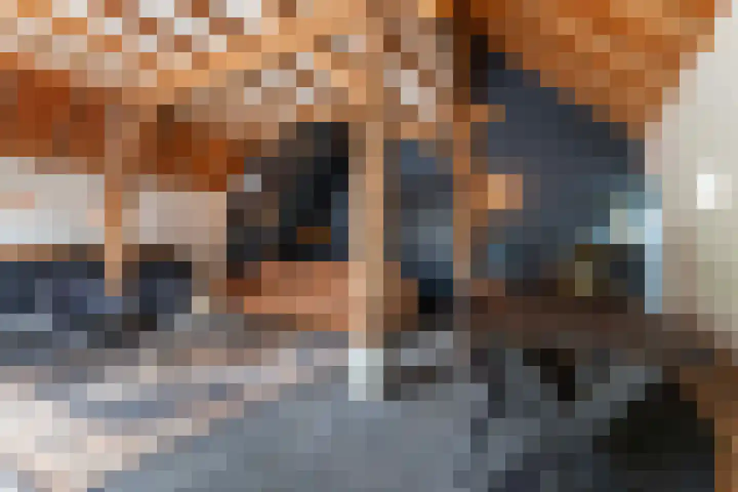 Zwolseweg 278 Apeldoorn thumbnail 67