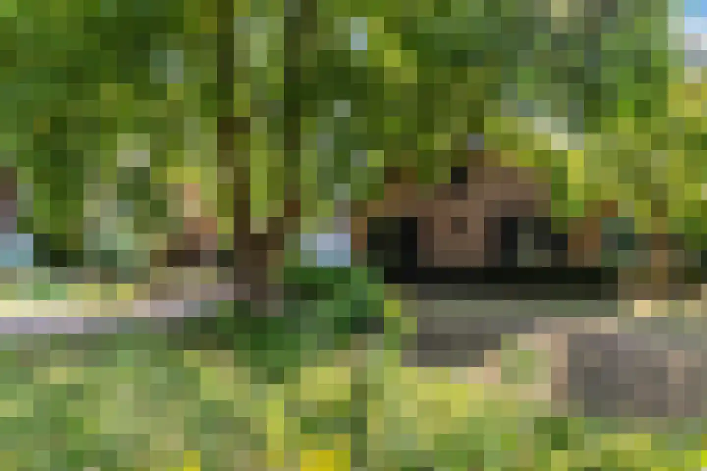 Zwolseweg 278 Apeldoorn thumbnail 8