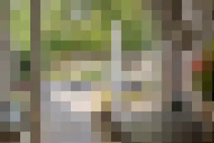 Zwolseweg 30 Heerde thumbnail 10