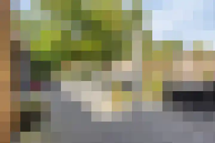Zwolseweg 30 Heerde thumbnail 34