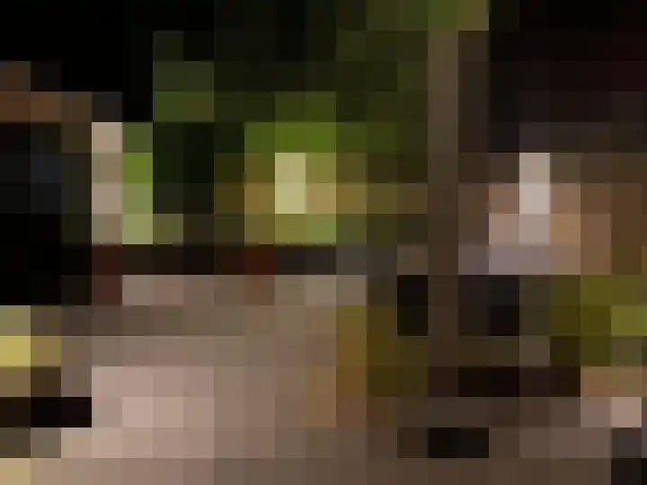 Zwolseweg 30 Heerde thumbnail 37