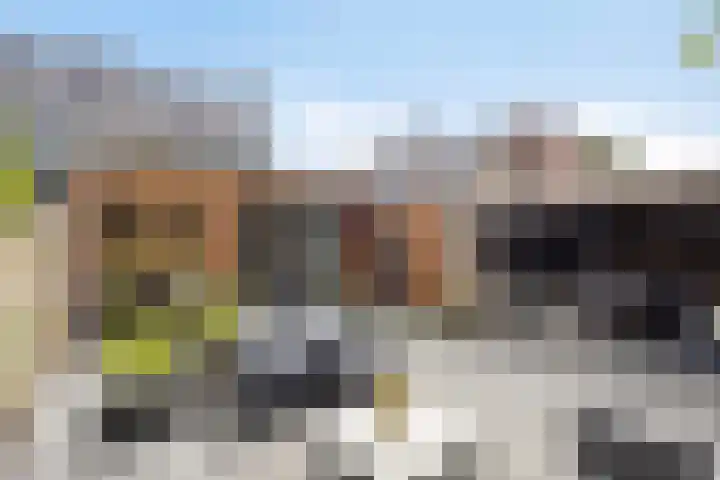 Zwolseweg 30 Heerde thumbnail 40