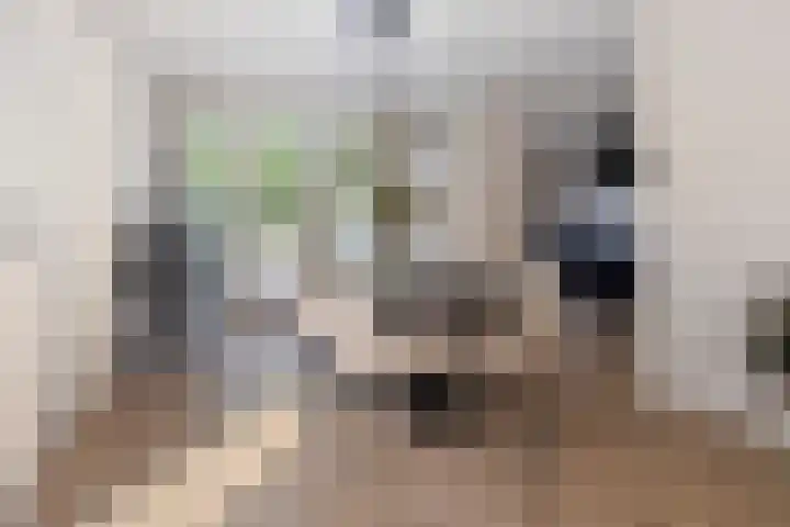 Zwolseweg 30 Heerde thumbnail 9