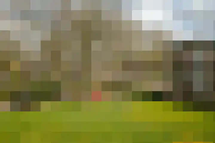 Zwolseweg 369 Deventer thumbnail 22