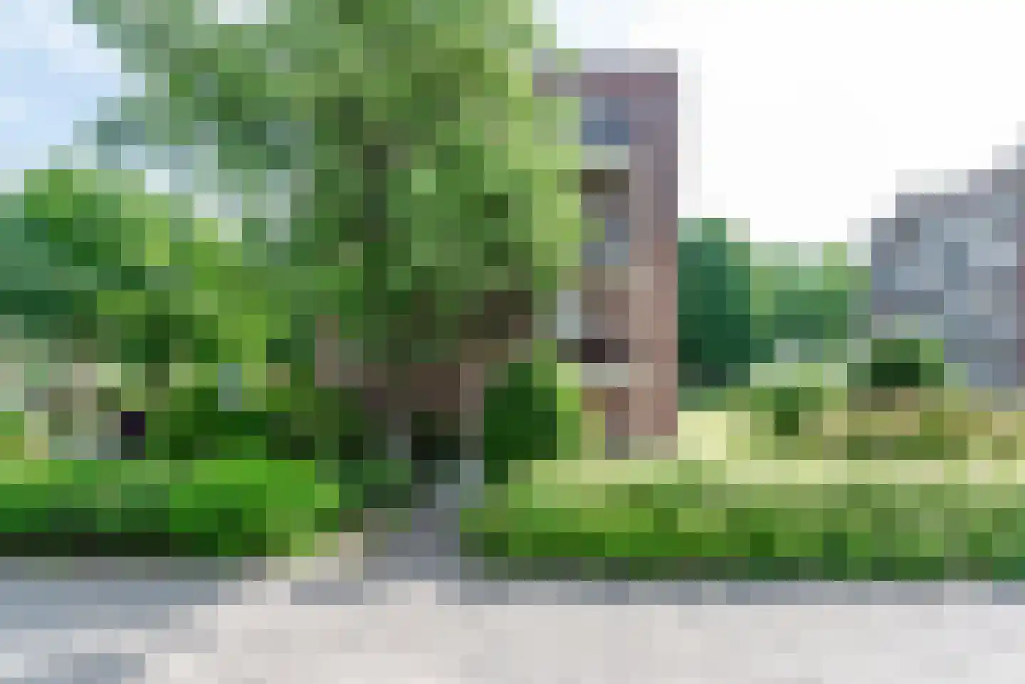 Zwolseweg 377 Deventer thumbnail 38