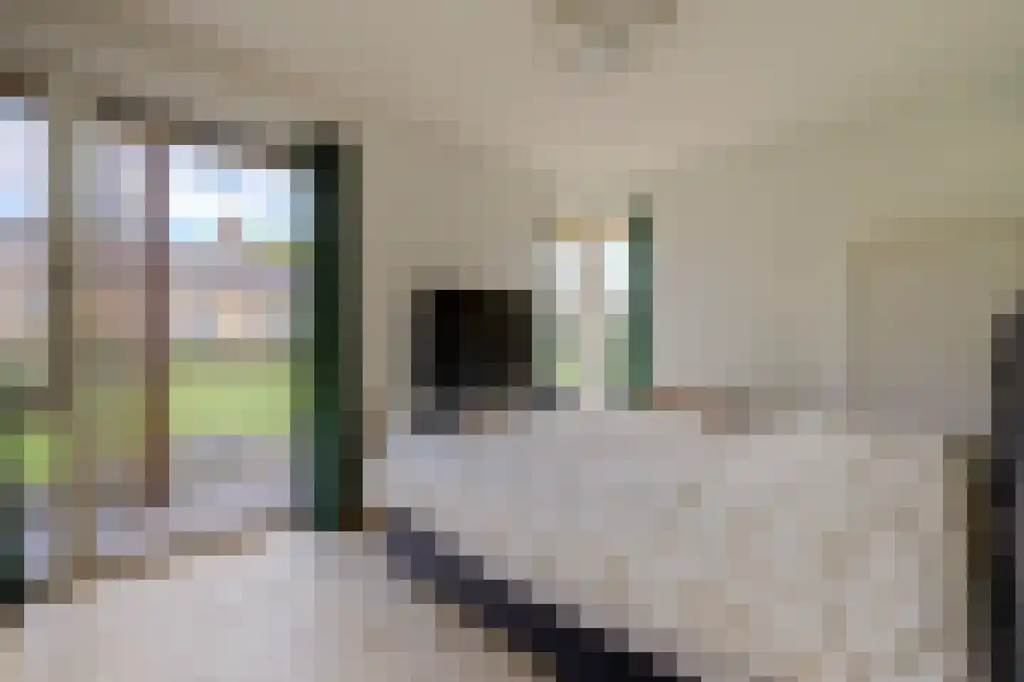 Zwolseweg 383 L Wenum Wiesel thumbnail 18