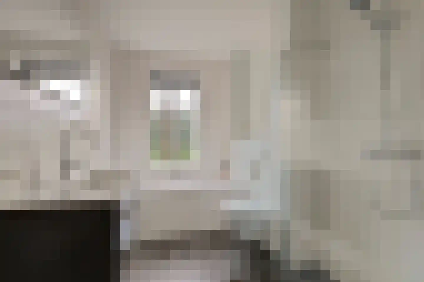 Zwolseweg 383 L Wenum Wiesel thumbnail 22