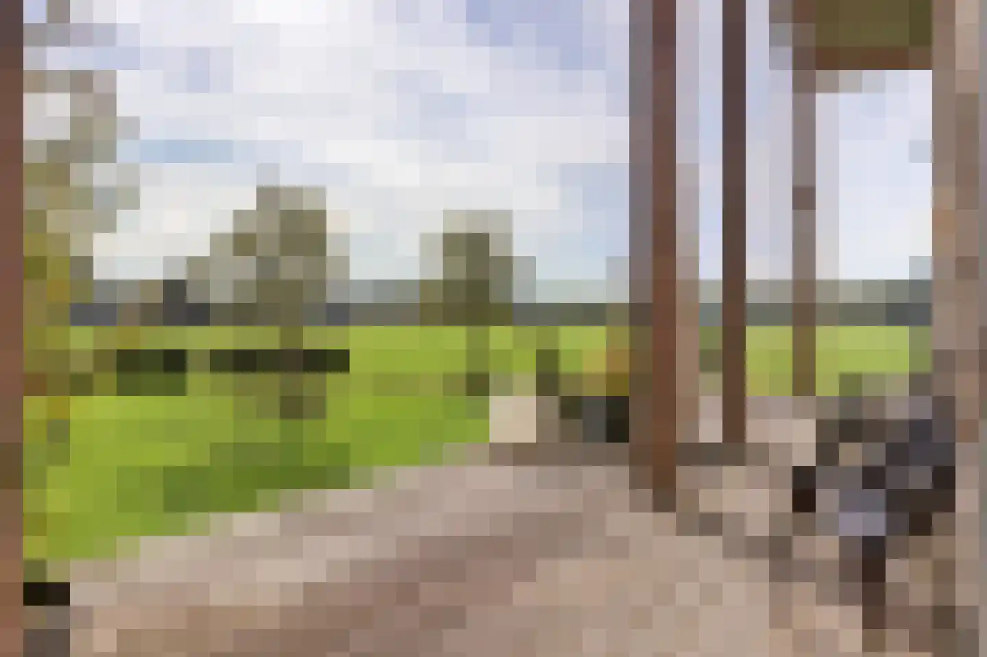 Zwolseweg 383 L Wenum Wiesel thumbnail 26