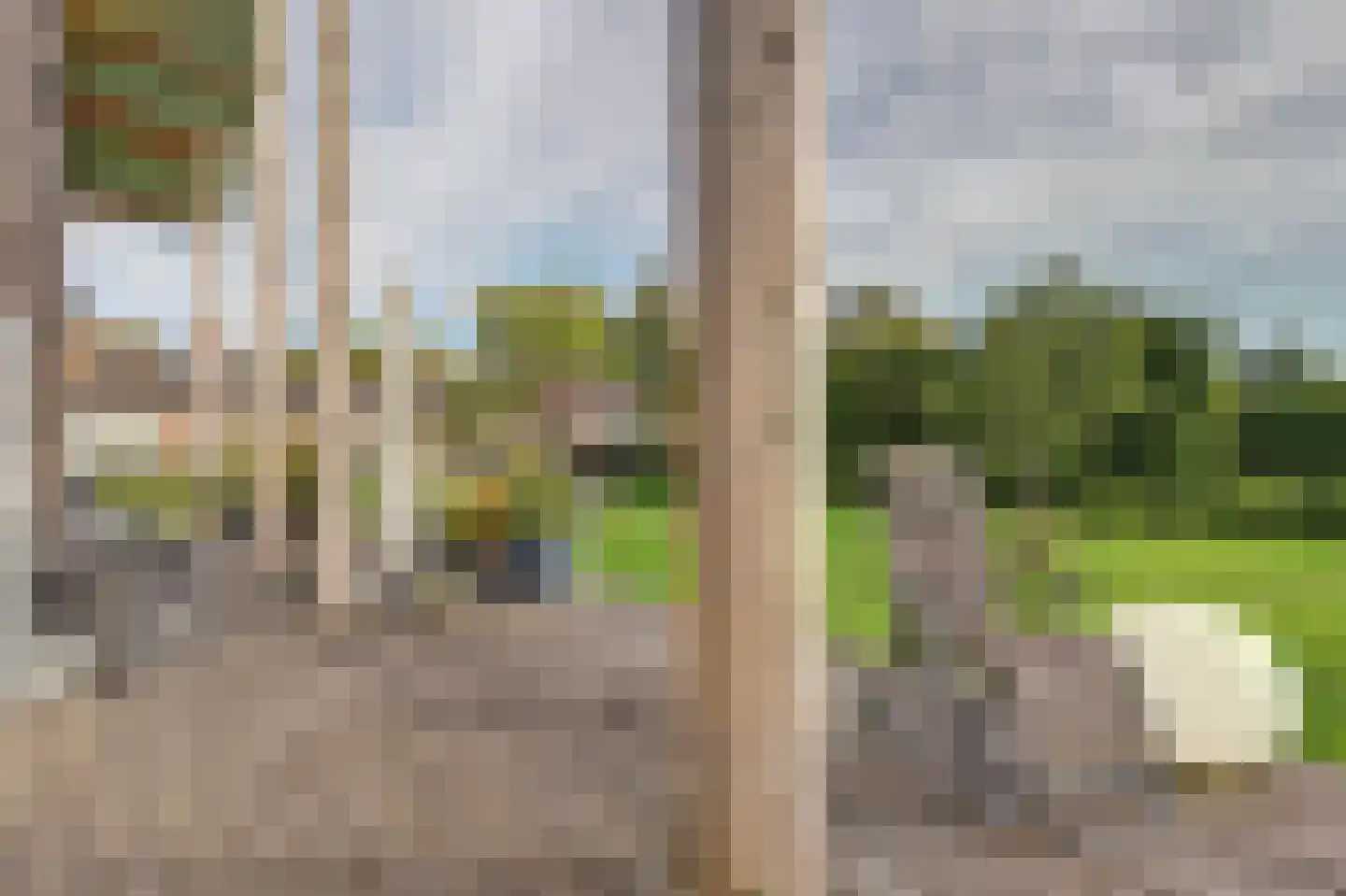 Zwolseweg 383 L Wenum Wiesel thumbnail 27