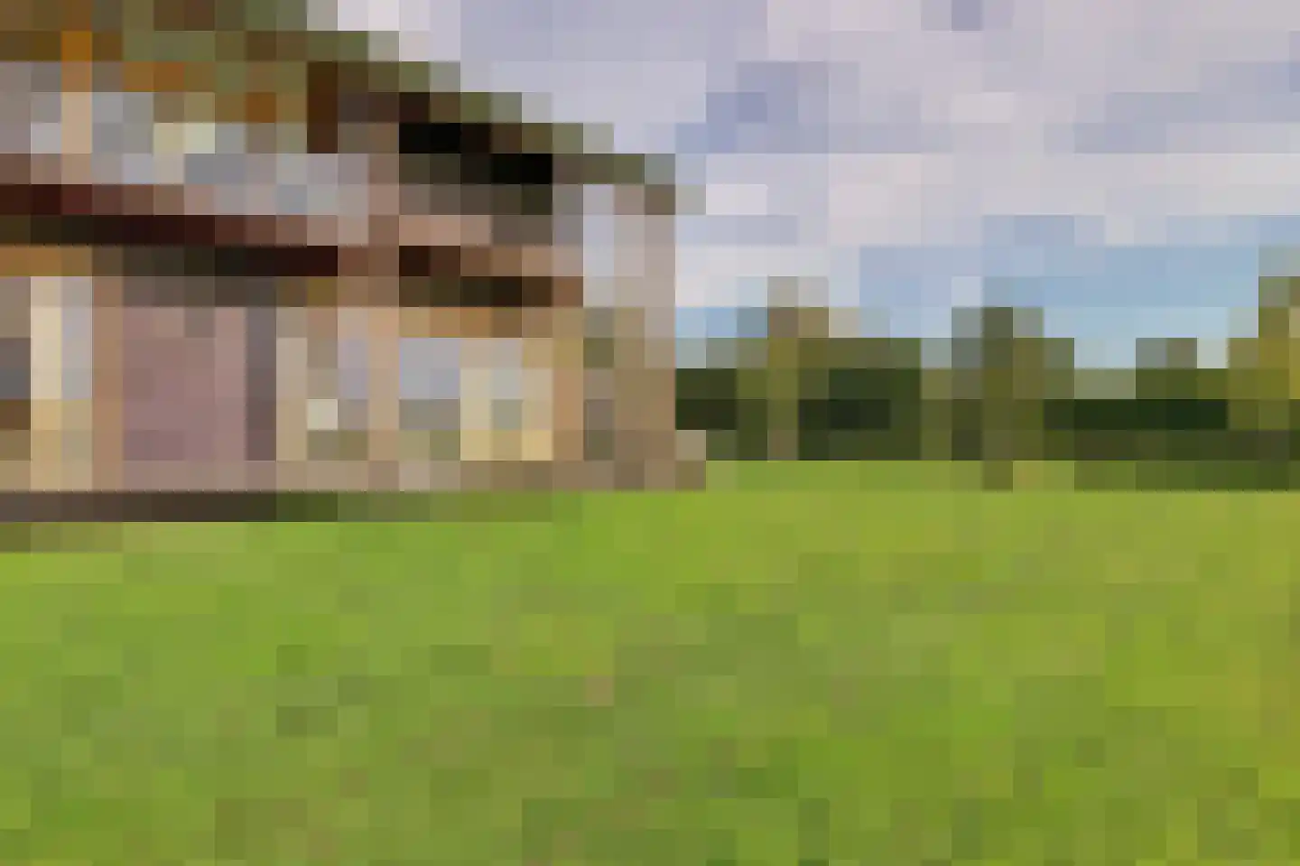 Zwolseweg 383 L Wenum Wiesel thumbnail 28