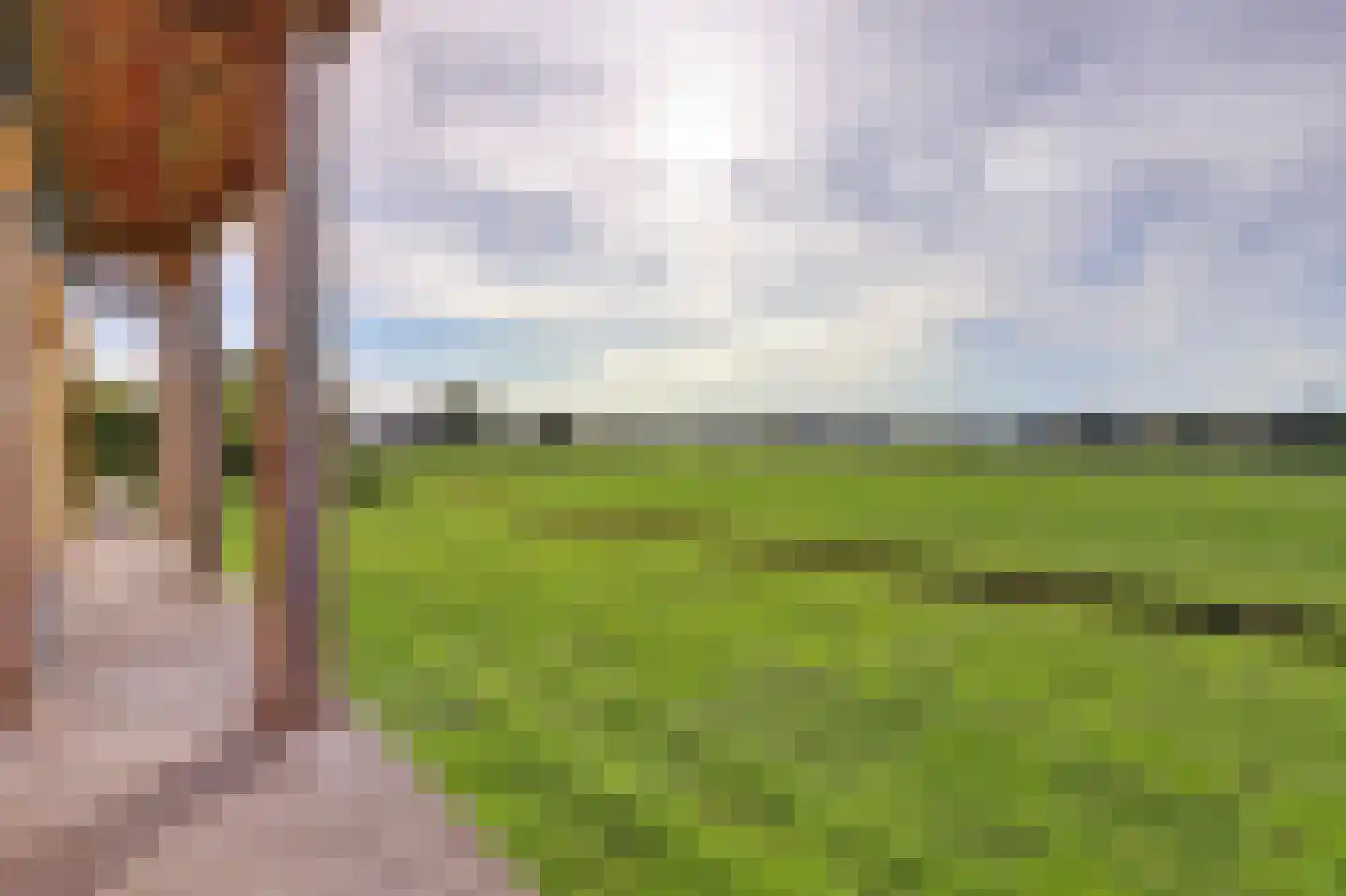 Zwolseweg 383 L Wenum Wiesel thumbnail 29