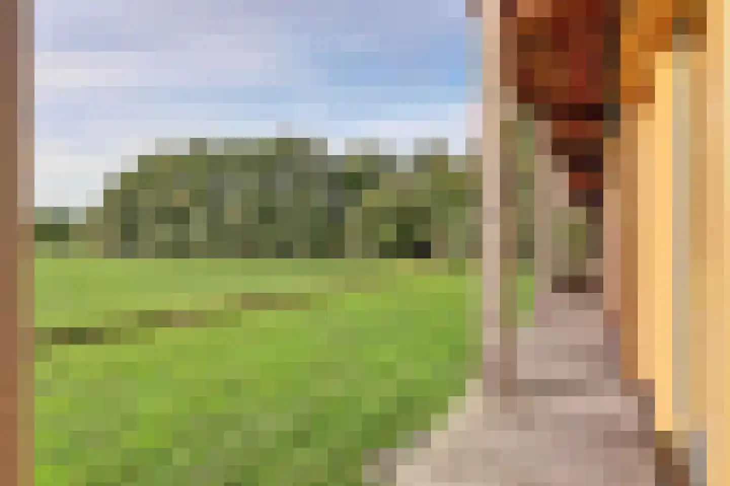Zwolseweg 383 L Wenum Wiesel thumbnail 30