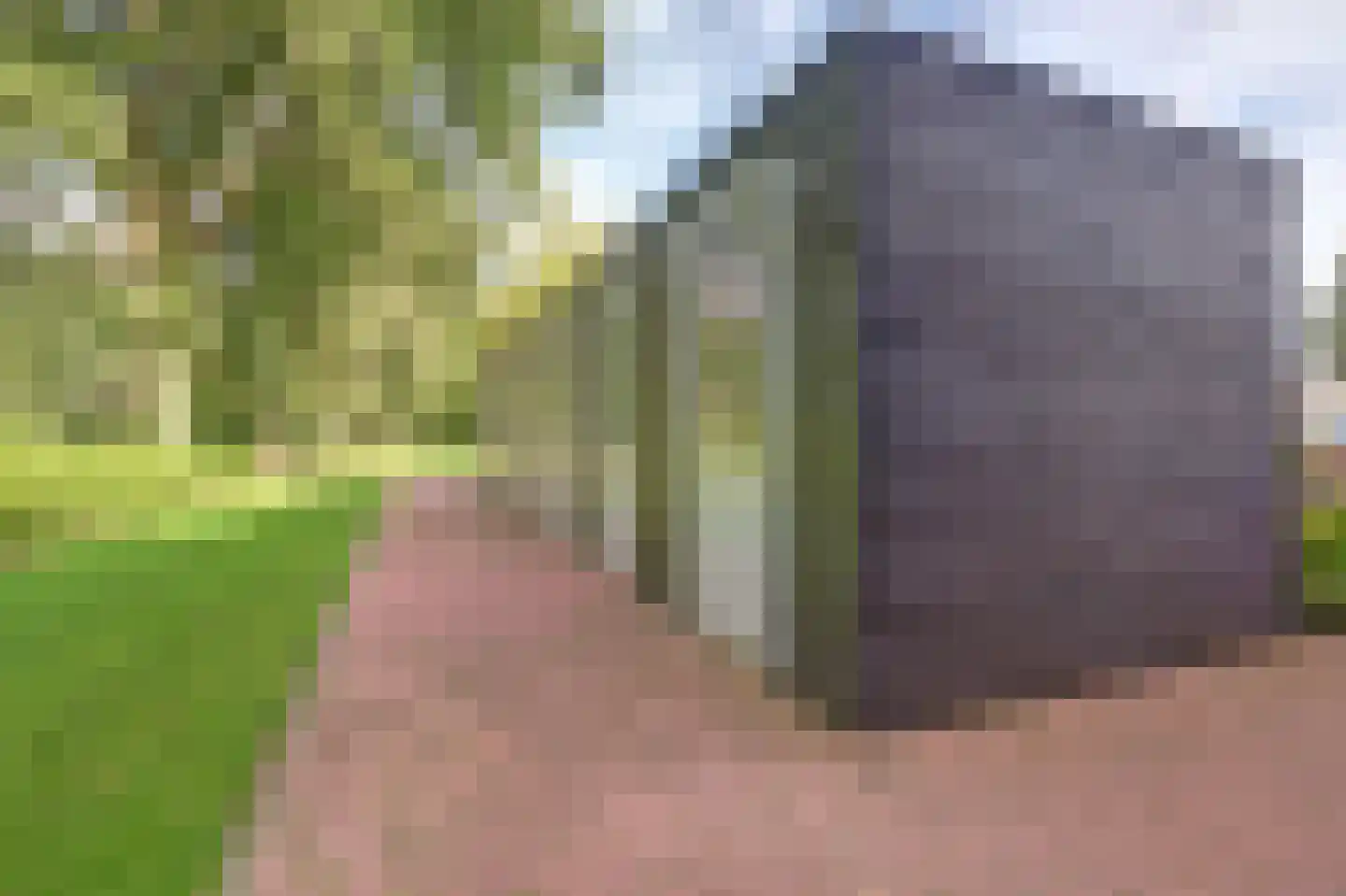 Zwolseweg 383 L Wenum Wiesel thumbnail 37