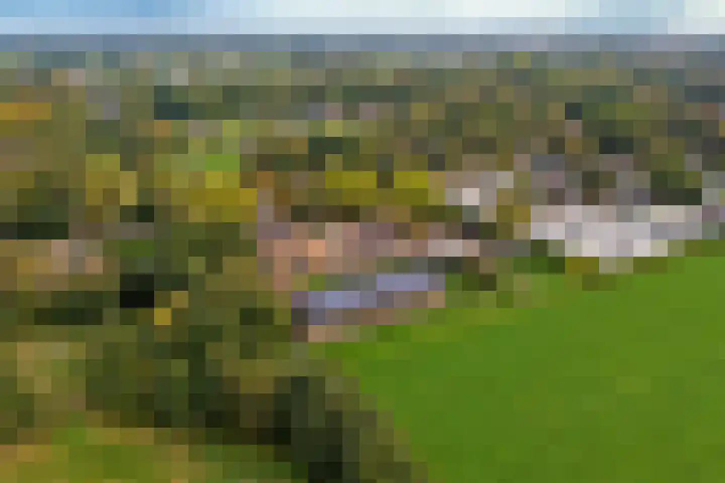 Zwolseweg 383 L Wenum Wiesel thumbnail 38