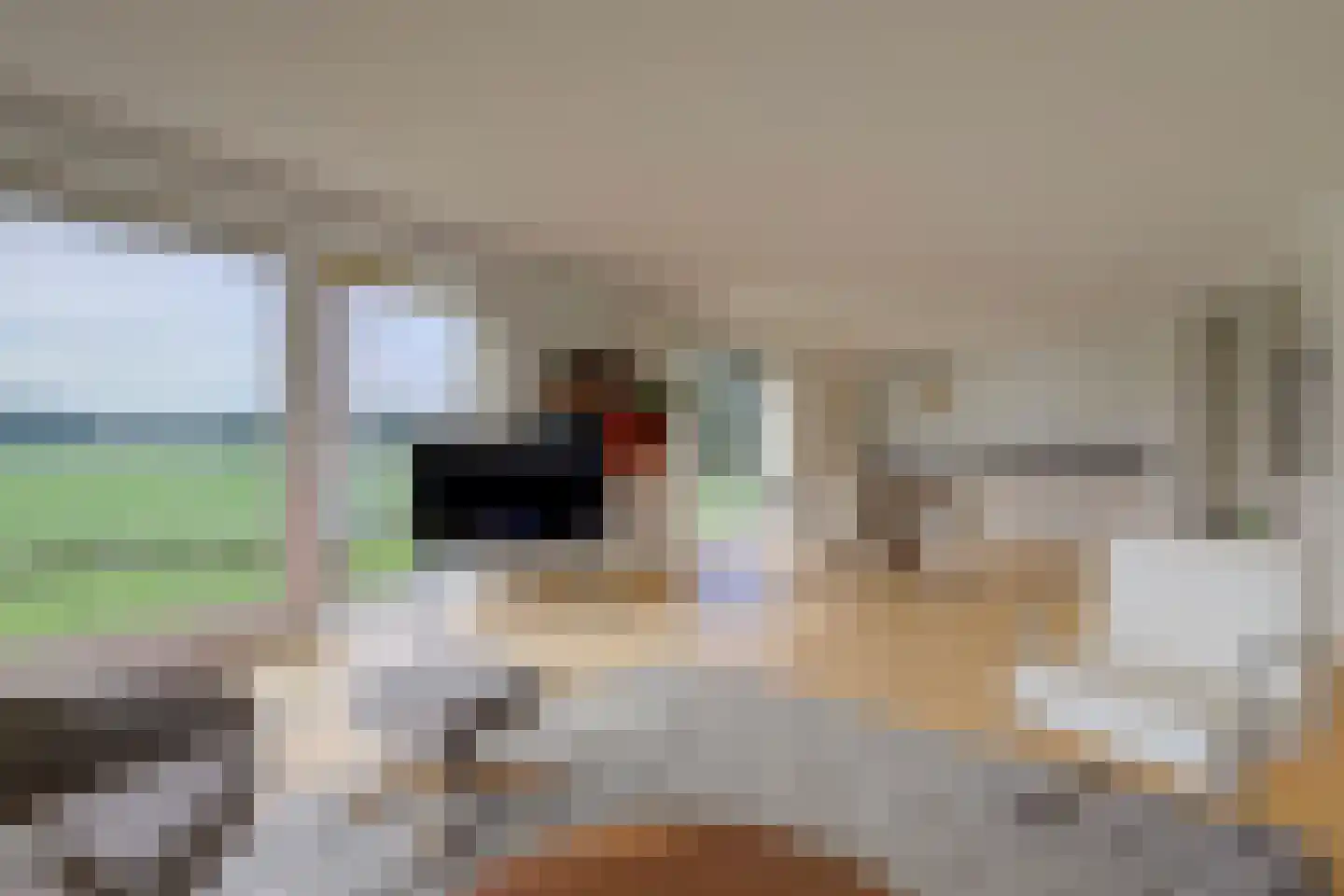 Zwolseweg 383 L Wenum Wiesel thumbnail 9