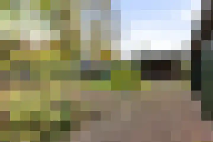 Zwolseweg 392 Wenum Wiesel thumbnail 36