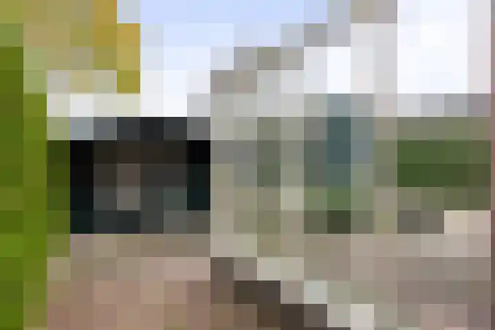 Zwolseweg 392 Wenum Wiesel thumbnail 42