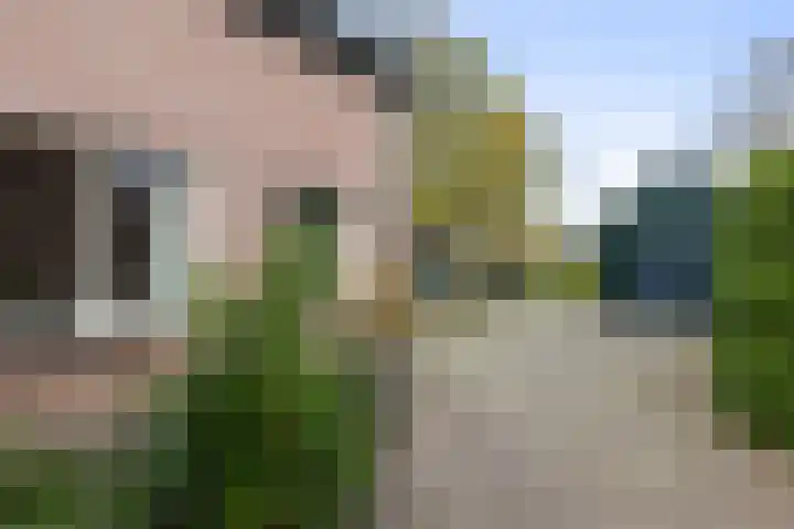Zwolseweg 392 Wenum Wiesel thumbnail 44
