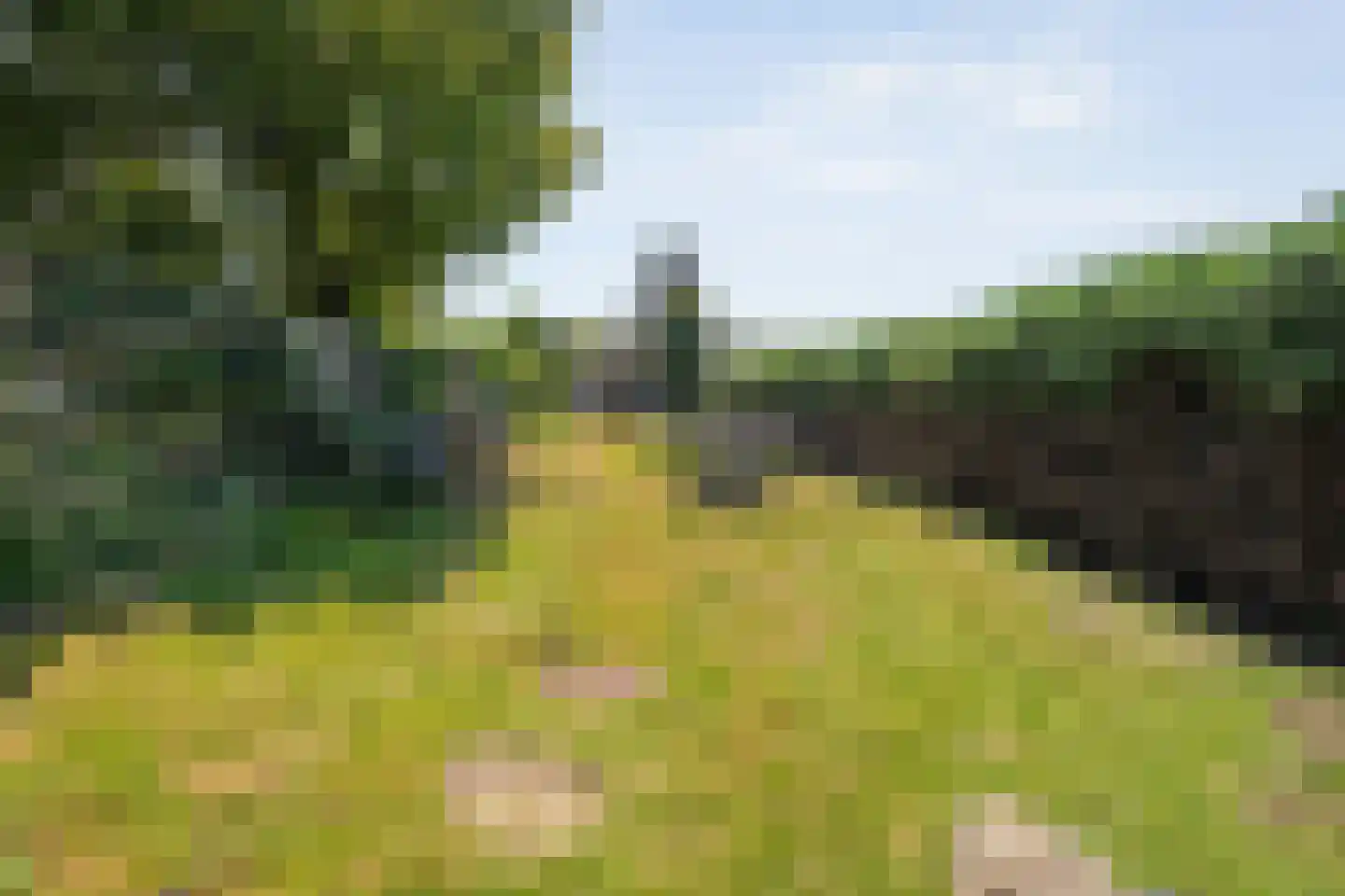 Zwolseweg 43 Balkbrug thumbnail 23