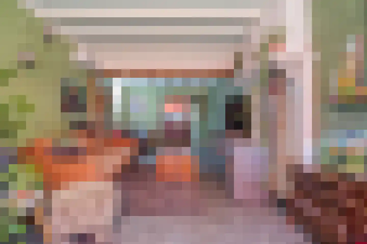 Zwolseweg 43 Balkbrug thumbnail 6