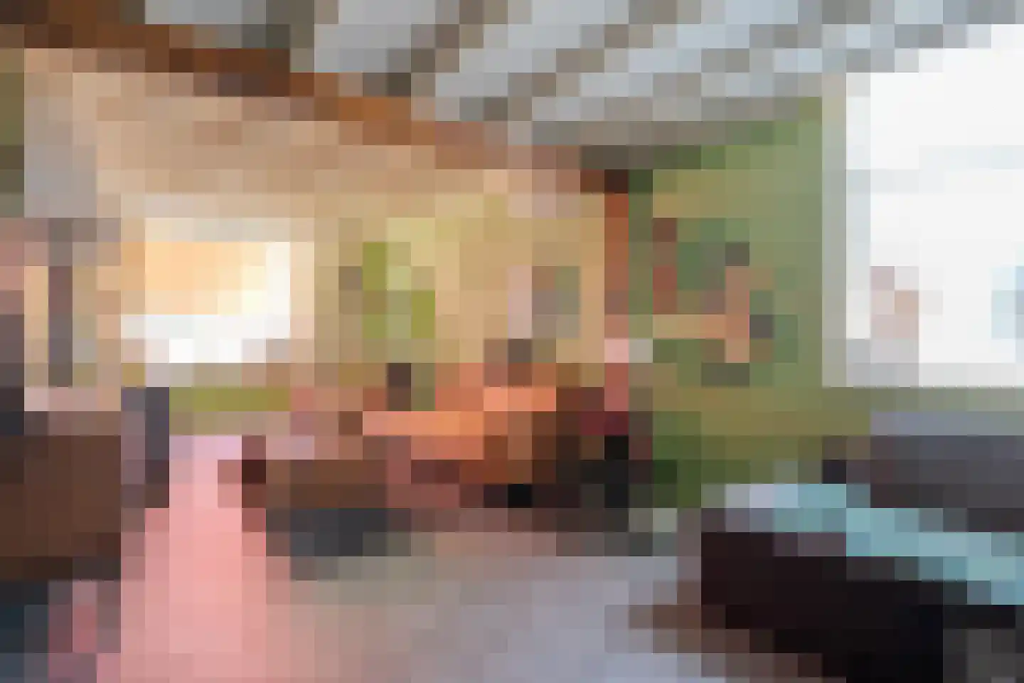 Zwolseweg 43 Balkbrug thumbnail 7