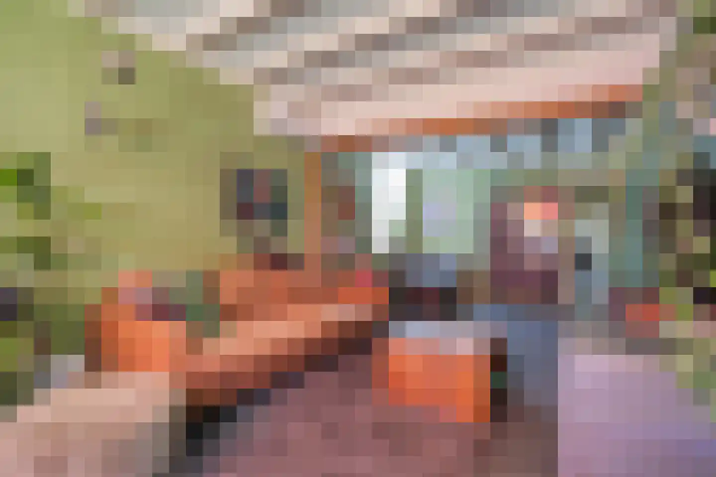 Zwolseweg 43 Balkbrug thumbnail 8