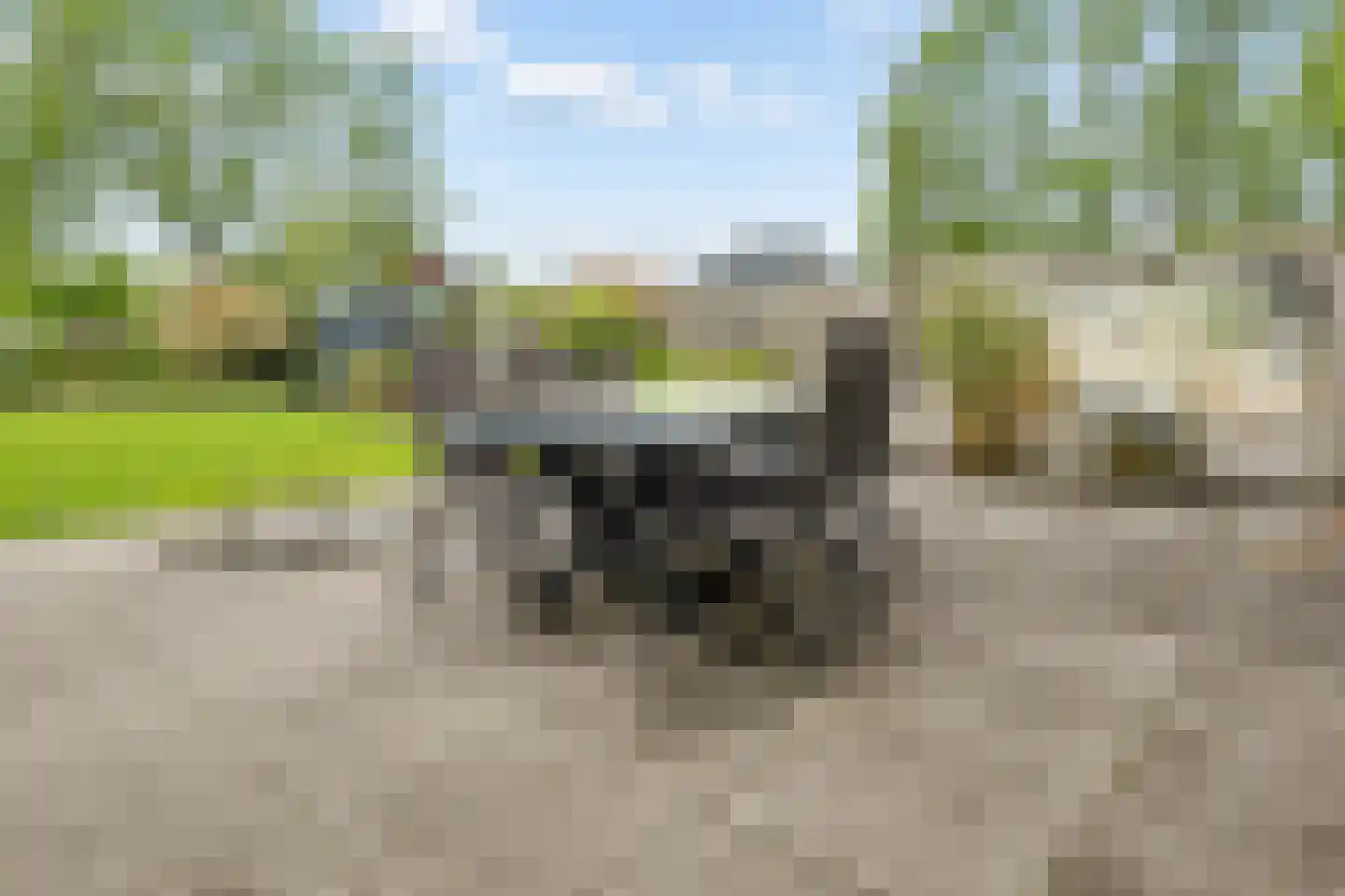Zwolseweg 43 's-Heerenbroek thumbnail 41