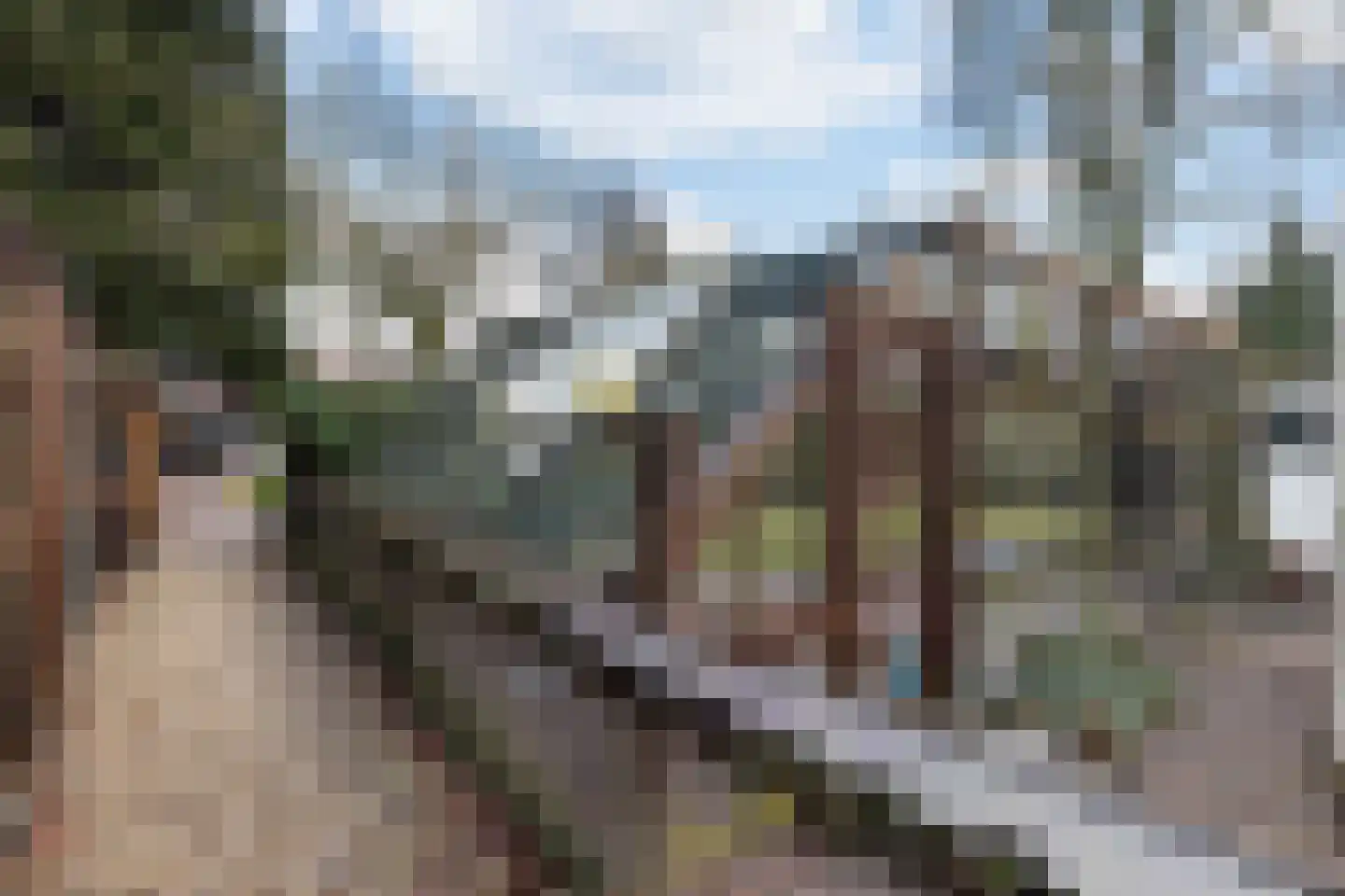 Zwolseweg 448 Wenum Wiesel thumbnail 31