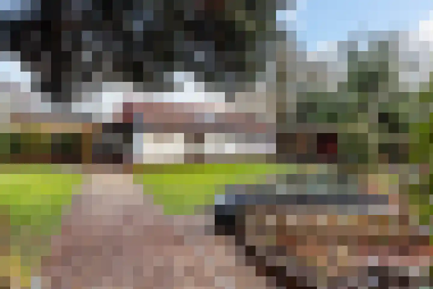 Zwolseweg 448 Wenum Wiesel thumbnail 32