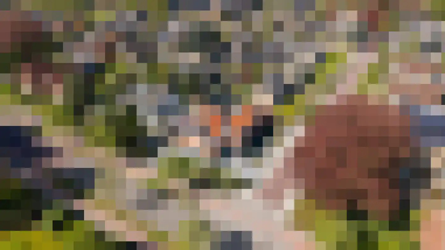 Zwolseweg 48 Heerde thumbnail 76