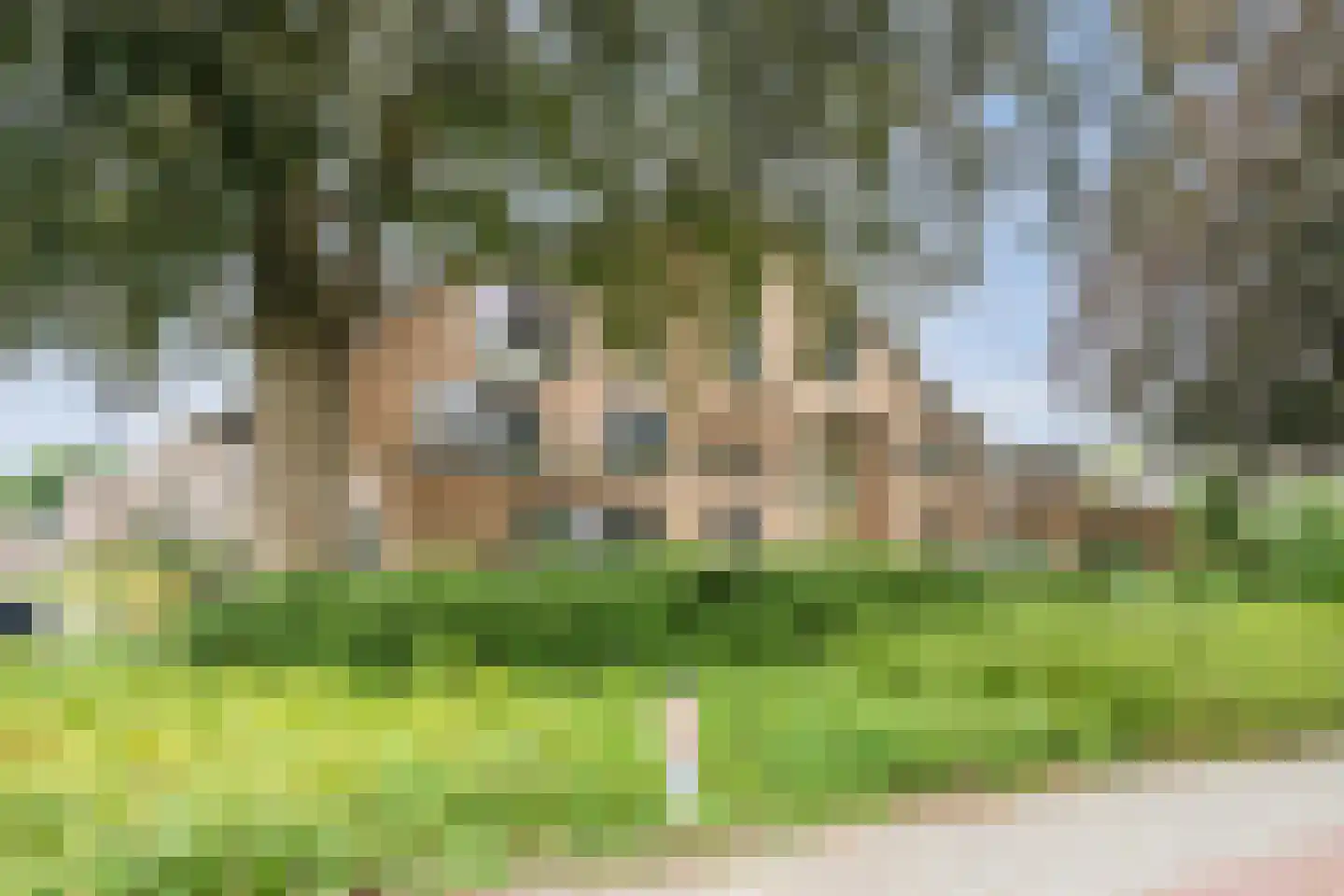Zwolseweg 50 e Heerde thumbnail 4