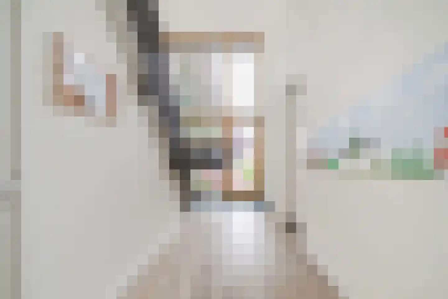 Zwolseweg 50 e Heerde thumbnail 8