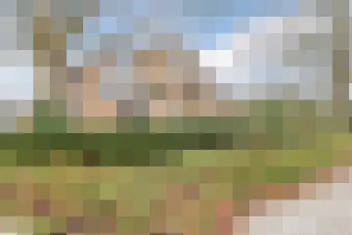 Zwolseweg 50 f Heerde thumbnail 4