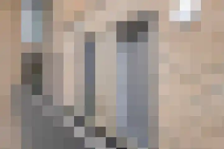 Zwolseweg 50 f Heerde thumbnail 8
