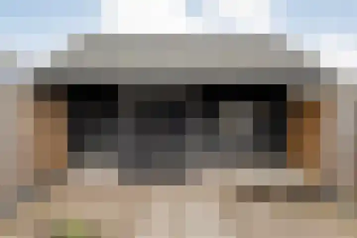 Zwolseweg 55 Balkbrug thumbnail 29