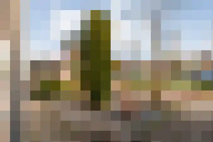 Zwolseweg 57 Balkbrug thumbnail 6