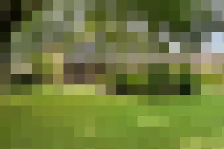 Zwolseweg 62 Balkbrug thumbnail 4