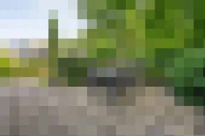 Zwolseweg 62 Balkbrug thumbnail 41