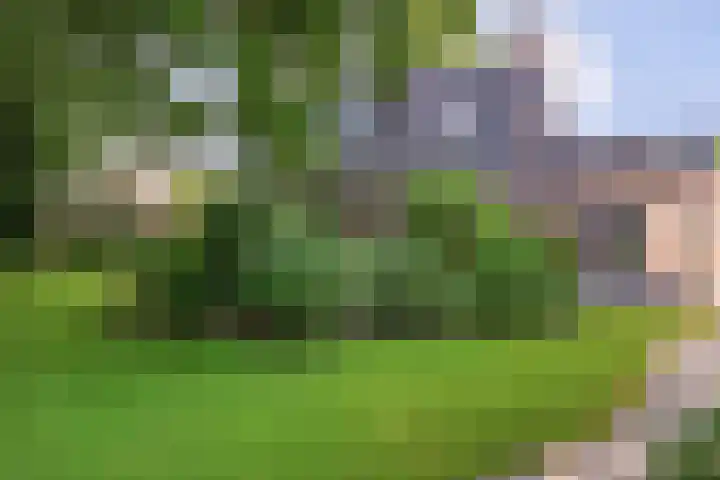 Zwolseweg 62 Balkbrug thumbnail 45