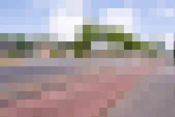 Zwolseweg 62 Balkbrug thumbnail 48