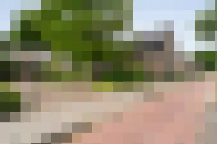 Zwolseweg 62 Balkbrug thumbnail 5