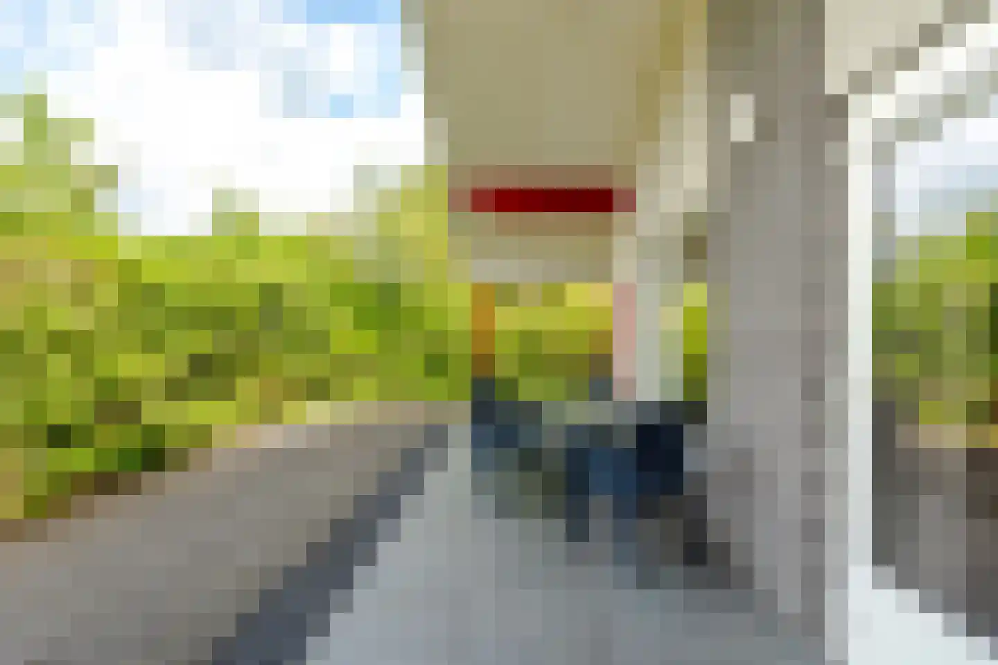 Zwolseweg 71 a 034 Heino thumbnail 29