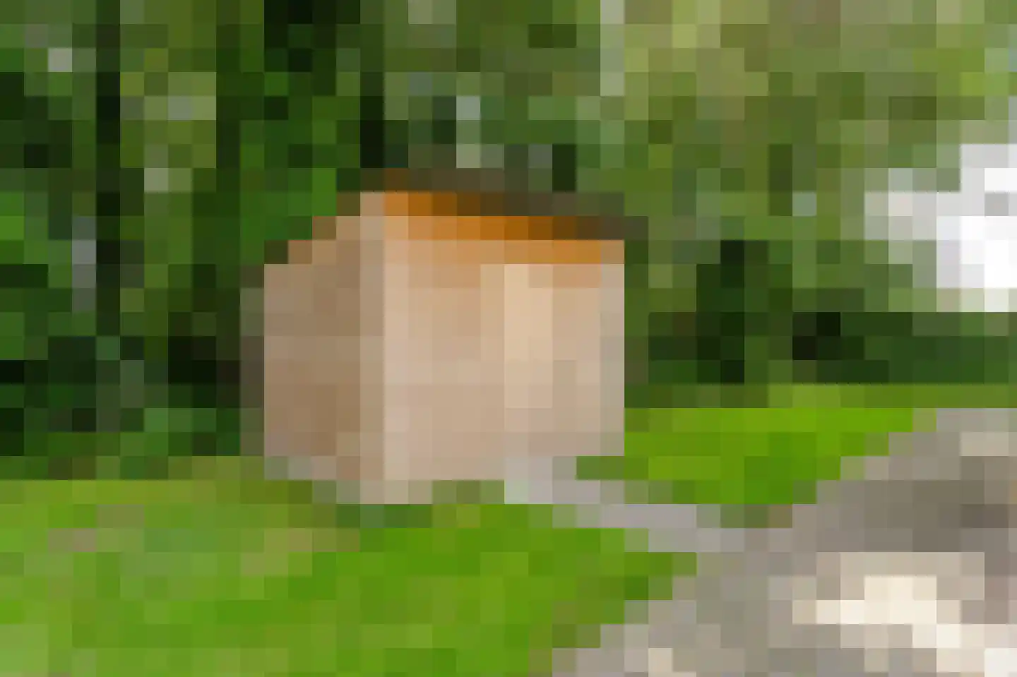Zwolseweg 71 a 034 Heino thumbnail 31